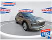 2021 Ford Escape SE (Stk: MUA15869) in Sarnia - Image 3 of 25