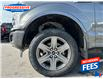 2018 Ford F-150 Lariat (Stk: JFD91412T) in Sarnia - Image 11 of 26