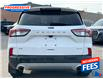 2022 Ford Escape SE (Stk: NUA74745) in Sarnia - Image 18 of 18 2022 Ford Escape SE (Stk: NUA74745) in Sarnia - Image 18 of 18