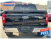 2022 Ford F-150 XLT (Stk: NKD88628) in Sarnia - Image 18 of 18