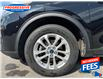 2022 Ford Escape SE (Stk: NUA75938) in Sarnia - Image 11 of 18