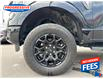 2024 Ford F-150 XLT (Stk: RKE16089) in Sarnia - Image 11 of 25