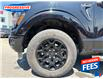 2024 Ford F-150 XLT (Stk: RKD84569) in Sarnia - Image 11 of 24