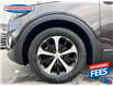 2018 Kia Sorento 2.0L EX (Stk: JG352646T) in Sarnia - Image 11 of 19