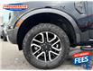2024 Ford Ranger XLT (Stk: RLE52061) in Sarnia - Image 11 of 22