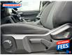 2024 Ford Ranger XLT (Stk: RLE52061) in Sarnia - Image 13 of 22