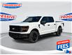 2024 Ford F-150 STX (Stk: RFB06660) in Sarnia - Image 1 of 20