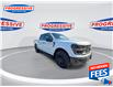 2024 Ford F-150 STX (Stk: RFB06660) in Sarnia - Image 3 of 20
