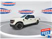 2024 Ford F-150 STX (Stk: RFB06660) in Sarnia - Image 5 of 20