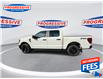 2024 Ford F-150 STX (Stk: RFB06660) in Sarnia - Image 6 of 20