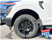 2024 Ford F-150 STX (Stk: RFB06660) in Sarnia - Image 11 of 20