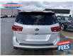 Used kia sedona for sale near me