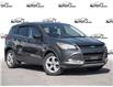 2015 Ford Escape SE (Stk: 50-486) in St. Catharines - Image 1 of 24