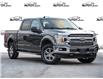 2019 Ford F-150 XLT (Stk: 50-690) in St. Catharines - Image 1 of 25