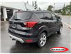 2019 Ford Escape Titanium (Stk: OP2272) in Parry Sound - Image 3 of 20