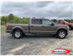 2015 Ford F-150 XLT (Stk: OP2236) in Parry Sound - Image 2 of 15