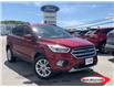 2019 Ford Escape SEL (Stk: 0578PT) in Midland - Image 1 of 12