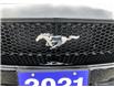 2021 Ford Mustang GT Premium Black
