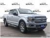 2019 Ford F-150 XLT (Stk: FE059A) in Sault Ste. Marie - Image 1 of 25