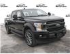 2019 Ford F-150 XLT (Stk: 94608X) in Sault Ste. Marie - Image 1 of 24