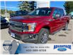 2019 Ford F-150 XLT (Stk: T24447) in Calgary - Image 1 of 16