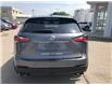 2017 Lexus NX 200t Base (Stk: CP11072C) in Chatham - Image 7 of 14
