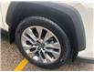 2020 Toyota RAV4 Limited (Stk: CP11503A) in Chatham - Image 8 of 15