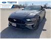 2022 Ford Mustang GT Premium (Stk: N5108087) in Wallaceburg - Image 11 of 20