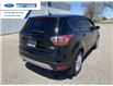 2017 Ford Escape SE (Stk: HUA97504T) in Wallaceburg - Image 11 of 16
