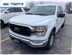 2022 Ford F-150 XLT (Stk: NKF29279) in Wallaceburg - Image 2 of 4