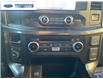 2023 Ford F-150 XLT (Stk: PFA15472) in Wallaceburg - Image 17 of 17