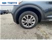 2023 Ford Explorer Limited (Stk: PGA19790) in Wallaceburg - Image 10 of 26