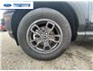 2023 Ford Bronco Sport Big Bend (Stk: PRD28134) in Wallaceburg - Image 10 of 24