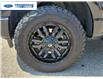 2021 Ford F-150 Lariat (Stk: MFC56906T) in Wallaceburg - Image 10 of 26