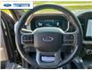 2021 Ford F-150 Lariat (Stk: MFC56906T) in Wallaceburg - Image 14 of 26