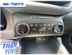 2023 Ford Bronco Sport Outer Banks (Stk: PRD27209) in Wallaceburg - Image 19 of 25