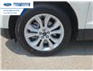 2021 Ford Edge Titanium (Stk: MBA54811T) in Wallaceburg - Image 10 of 26