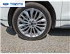 2023 Ford Edge Titanium (Stk: PBA04413L) in Wallaceburg - Image 10 of 26
