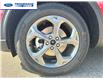 2025 Ford Escape ST-Line (Stk: SUA12409) in Wallaceburg - Image 10 of 25
