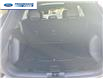 2025 Ford Escape ST-Line Select (Stk: SUA11893) in Wallaceburg - Image 24 of 26