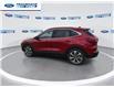 2025 Ford Escape Platinum (Stk: SUA27479) in Wallaceburg - Image 6 of 25