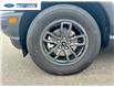 2024 Ford Bronco Sport Big Bend (Stk: RRF59727) in Wallaceburg - Image 10 of 26
