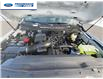 2024 Ford F-250 XL (Stk: REF97449) in Wallaceburg - Image 23 of 23