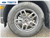 2025 Ford Bronco Sport Big Bend (Stk: SRE03455) in Wallaceburg - Image 10 of 24