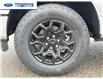 2025 Ford F-150 XLT (Stk: SKD34646) in Wallaceburg - Image 10 of 24