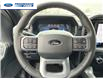 2025 Ford F-150 XLT (Stk: SKD34646) in Wallaceburg - Image 14 of 24