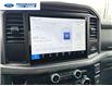 2025 Ford F-150 XLT (Stk: SKD34646) in Wallaceburg - Image 16 of 24