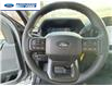 2025 Ford F-150 XL (Stk: SKD22435) in Wallaceburg - Image 14 of 23
