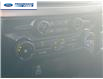 2025 Ford F-150 XL (Stk: SKD22435) in Wallaceburg - Image 18 of 23