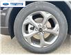 2025 Ford Escape ST-Line (Stk: SUA63730) in Wallaceburg - Image 10 of 25